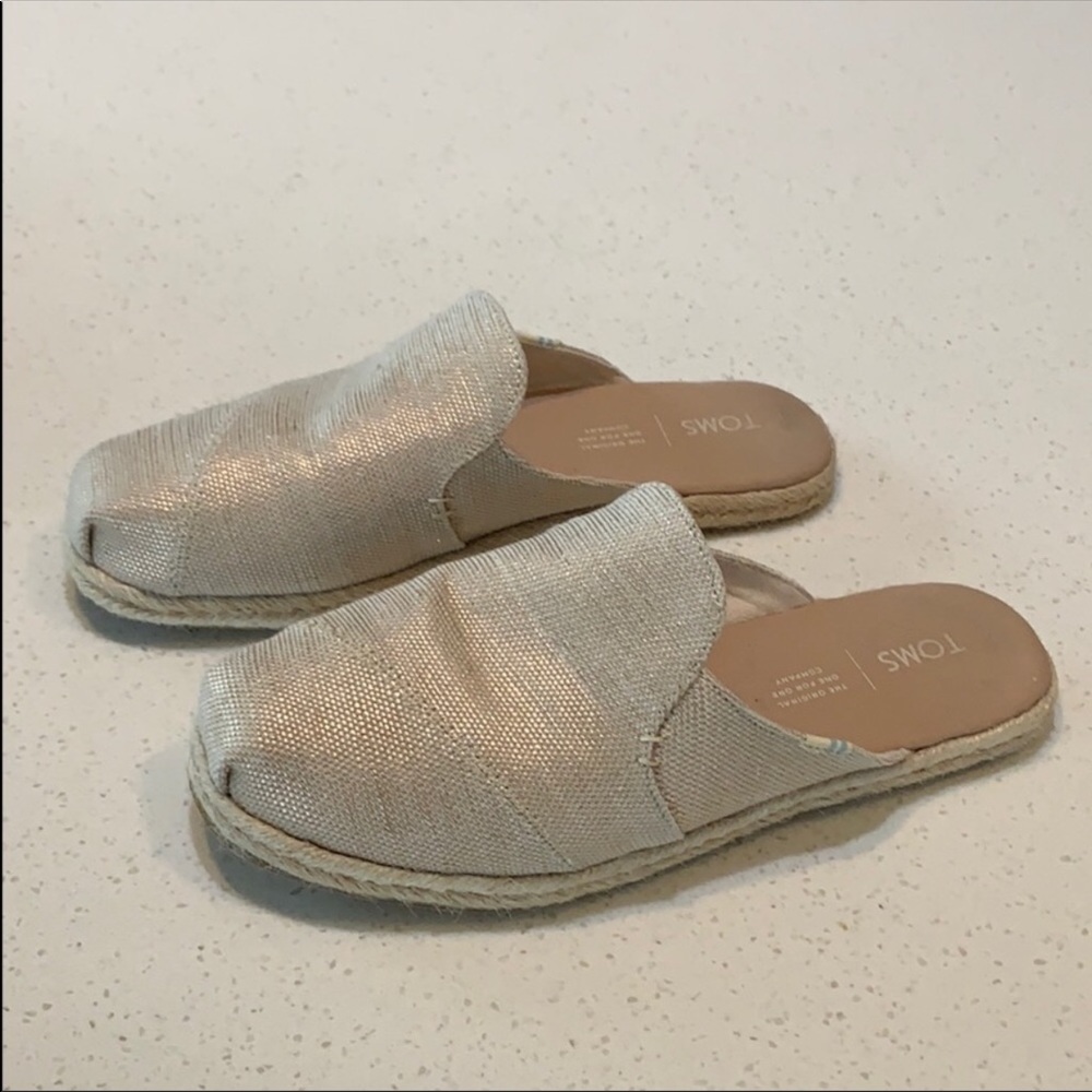 TOMS slides 7.5